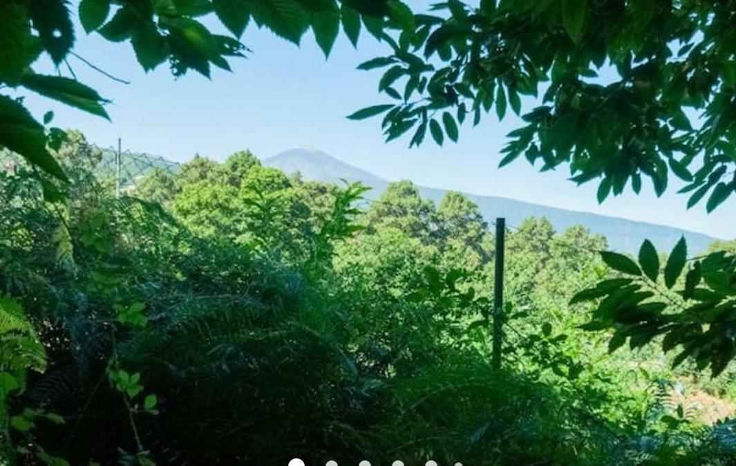 Finca La Casita Ла Оротава Екстериор снимка